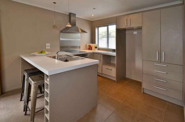 41b Austin Street Sydenham_3