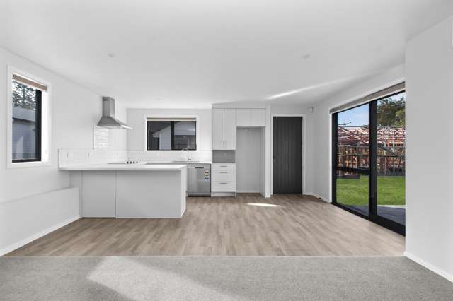 2/55 Mahoe Street 1107_4