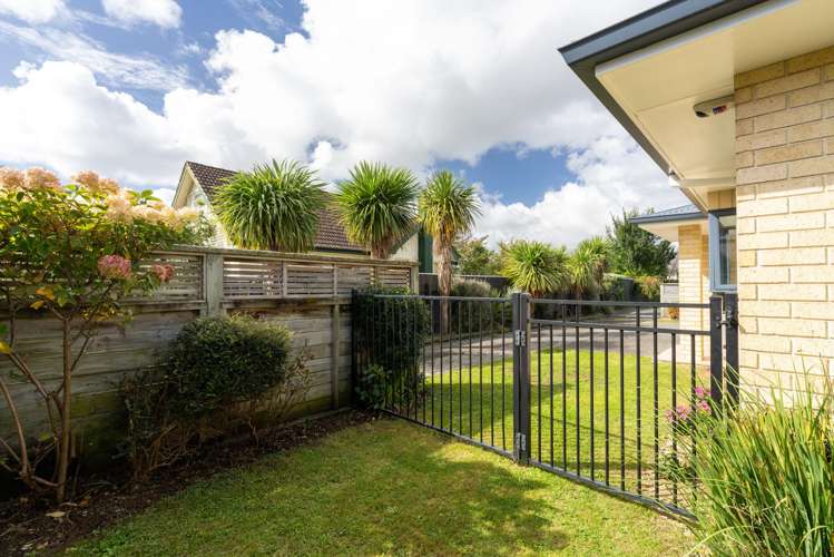 144A Winchester Street Levin_26