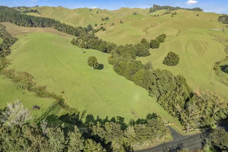 216 Haruru Road Kaukapakapa_12