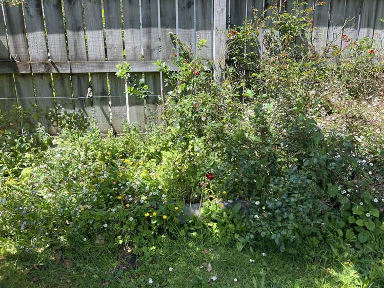 15A Kent Street Carterton_15