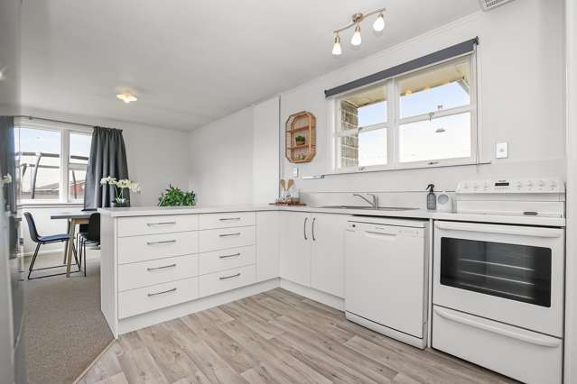 144 Grove Street Tinwald_1