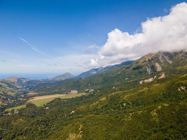 1178 Puhi Puhi Road Puhi Puhi_0