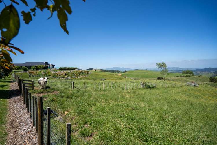 203 Oliver Road Cambridge_20