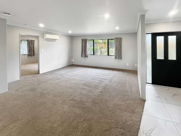 3/531 Mandeno Street 11385_1