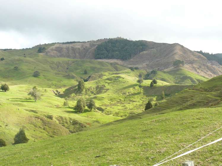 481 Moore Road Pipiwai_17