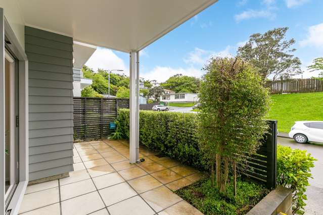 6 Atkinson Street Newlands_4