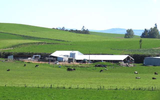 726 Greenvale Road Crossans Corner_2