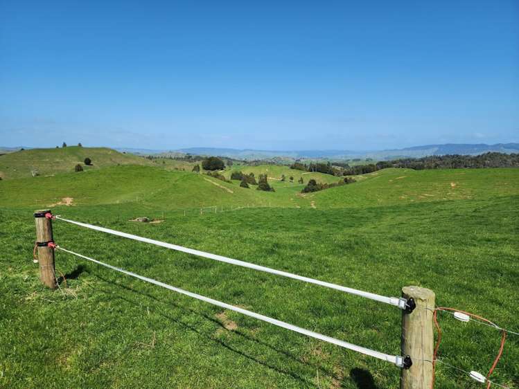 953 State Highway 3 Piopio_16