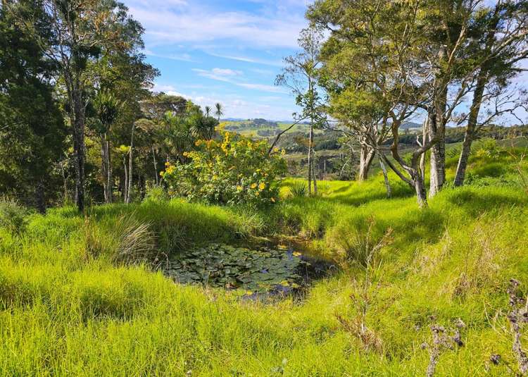 Lot lot 2 Koutu Loop Road Opononi_10