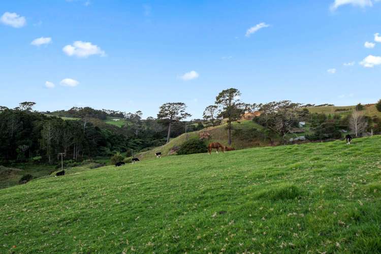 1096f Awhitu Road Waiuku_35