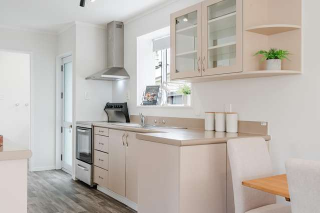 172A Nixon Street Hamilton East_4