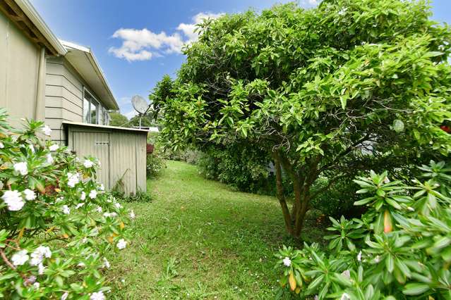 14 Downer Street Helensville_3