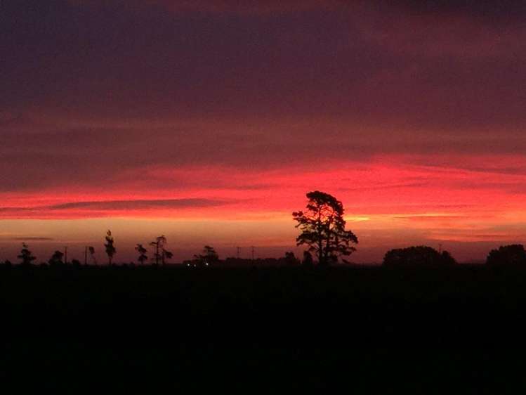 76 Pohutukawa Drive Levin_17