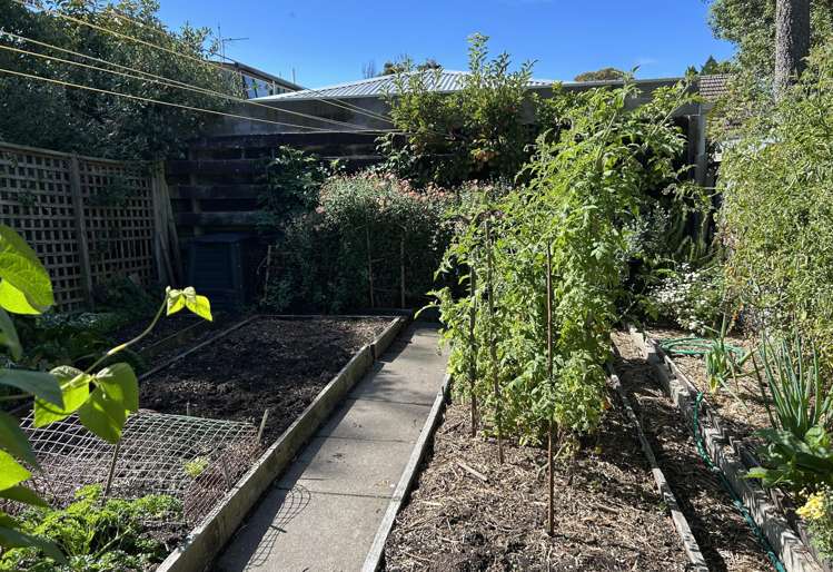 A/8 Park Street Rangiora_7
