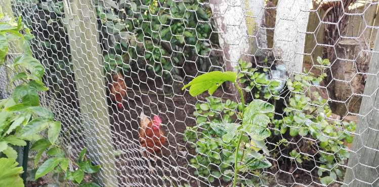 14 Taylor Avenue Motueka_17