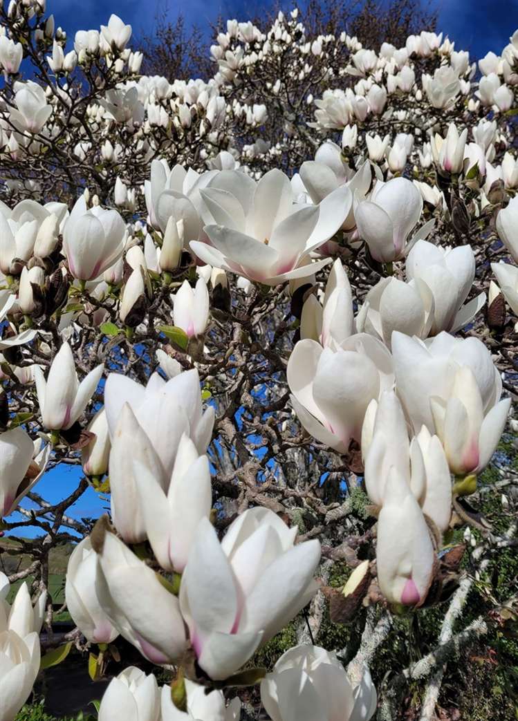 376 Neudorf Road Upper Moutere_18