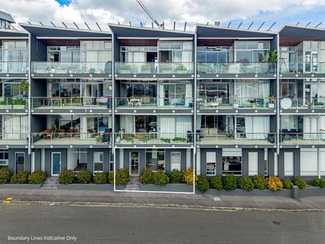 11C Augustus Terrace Parnell_3