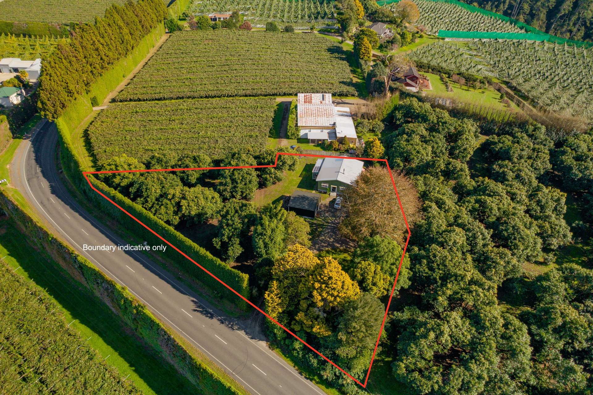 472 No 3 Road Te Puke_0