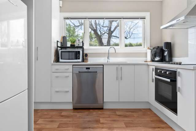 24 Buffon Street Waltham_3