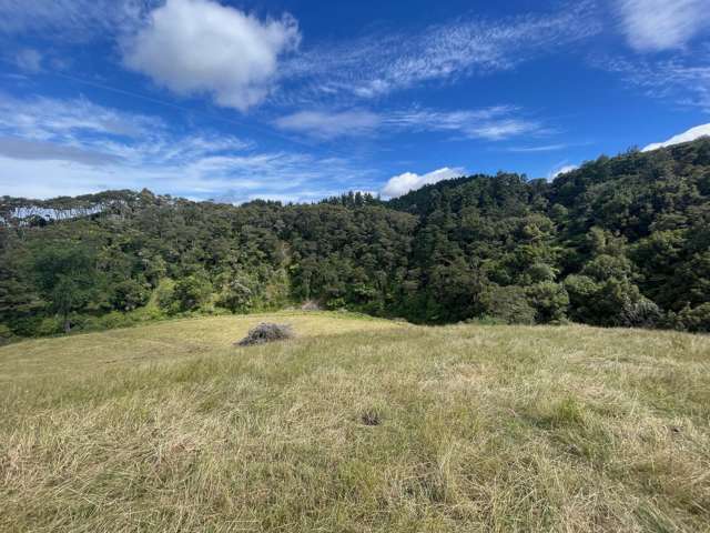 Lot 1, 2 & 4/3054 State Highway 23 Raglan_1