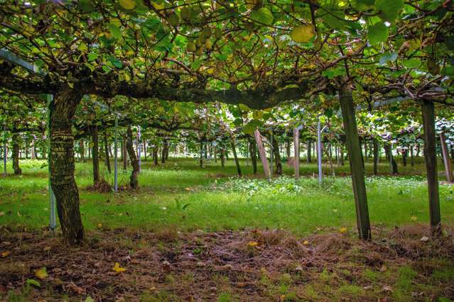 781 Rewatu Road Whakatane_3