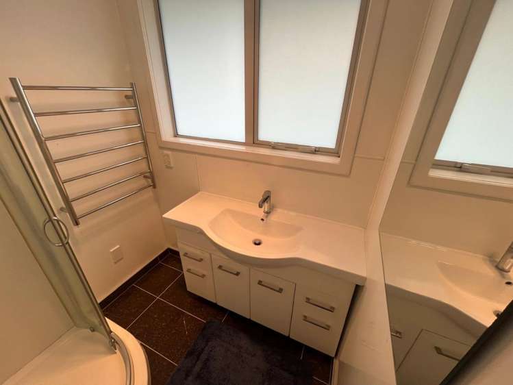 25 Astley Ave New Lynn_12