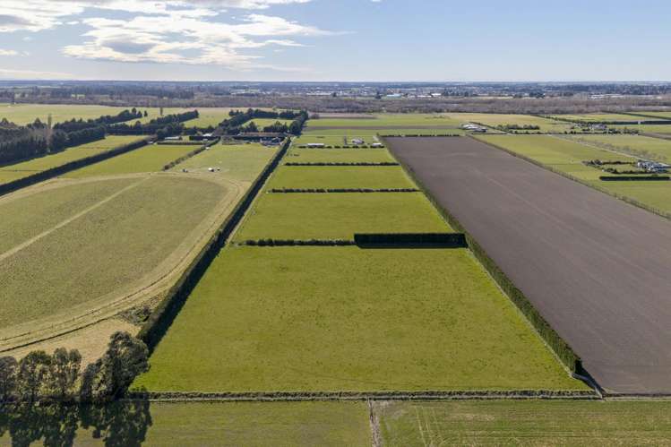 201 Hollands Road Tinwald_25