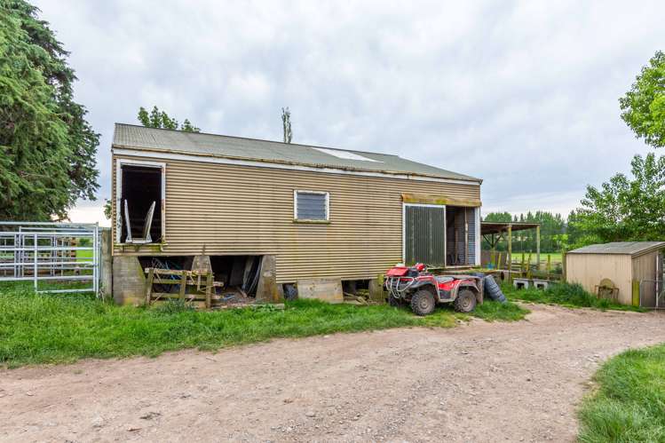 47 Hurunui Mouth Road Domett_19