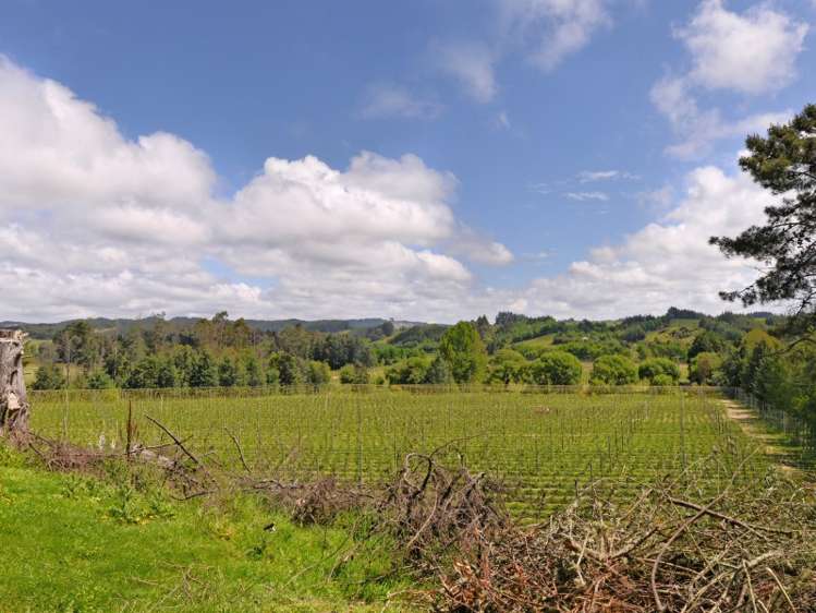 4 Sunrise Valley Road Upper Moutere_12