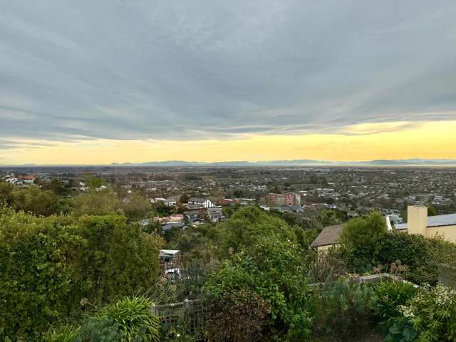  B/12 Macmillan Avenue Cashmere_2