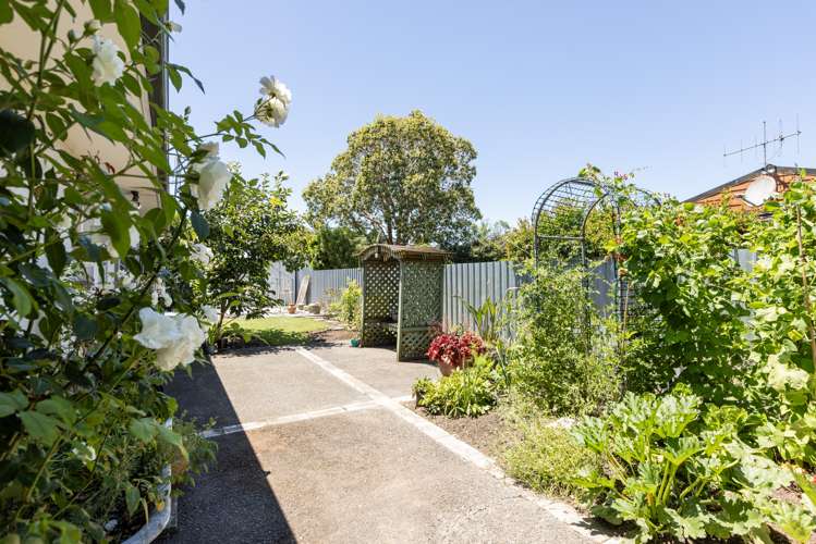 83a Avondale Road Taradale_19