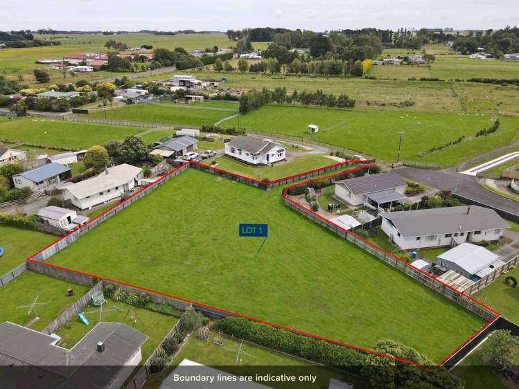 56b Hendersons Line Marton_1