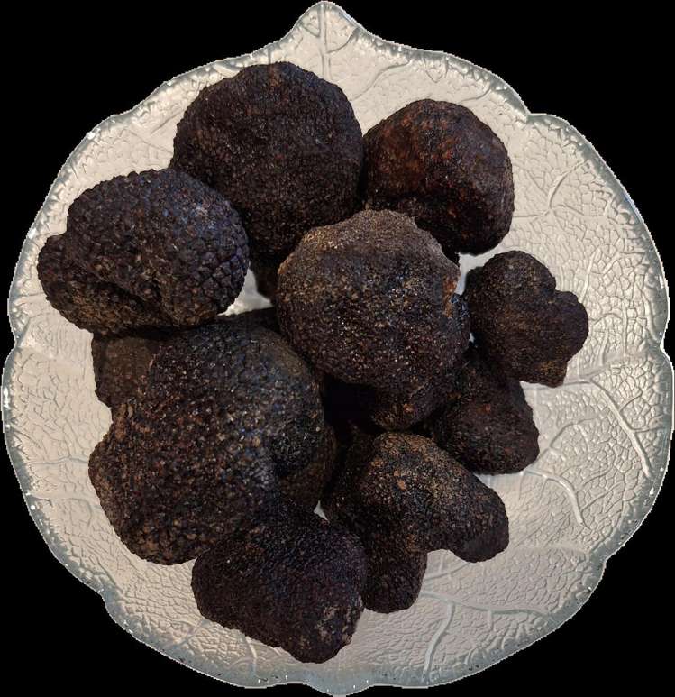 651 Wakefield-Kohatu Highway Wakefield_7