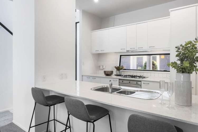 5l Cleveland Road Parnell_14