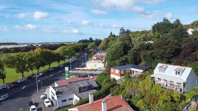 3 Lees Street Dunedin Central_1