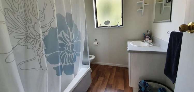 22 Douglas Street Levin_2