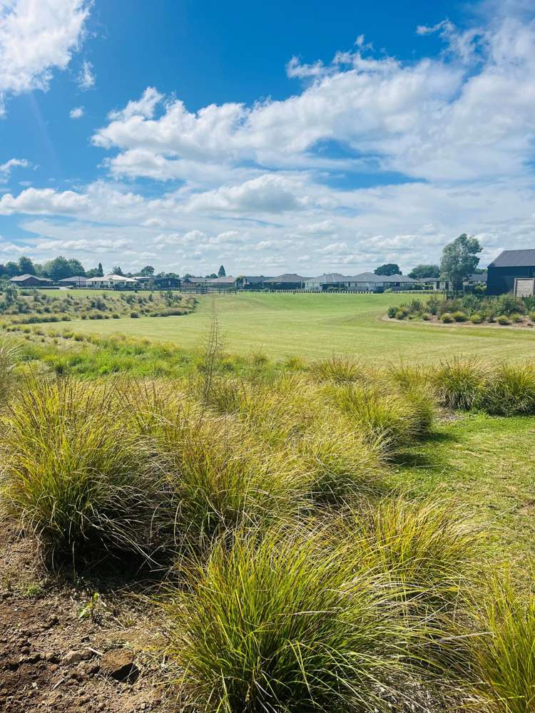 47 Hampton Terrace Matamata_8