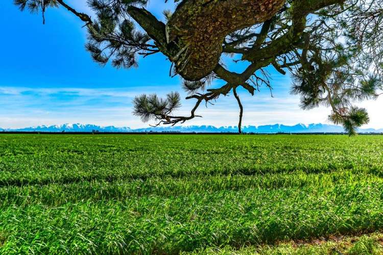 158 Bealey Road Kirwee_18