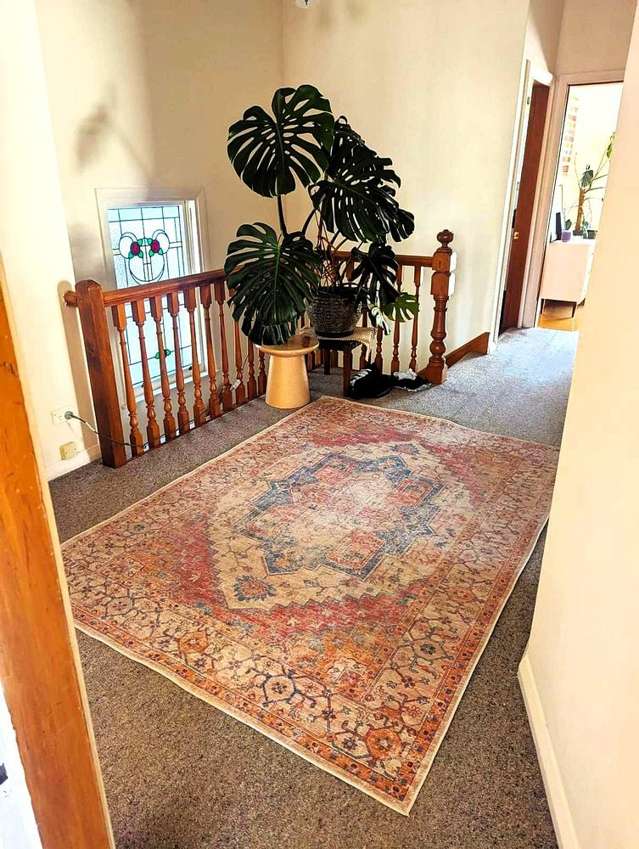 52 Majoribanks Street Mount Victoria_1