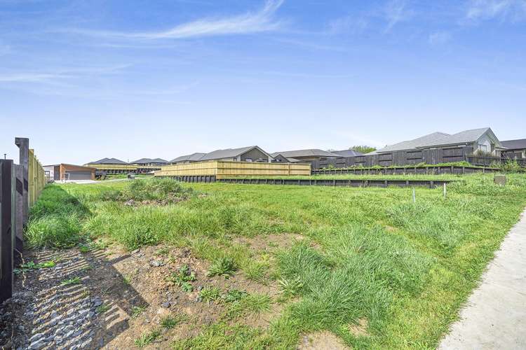 24 Harp Street Morrinsville_11