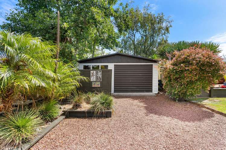 30 Vina Place Massey_4