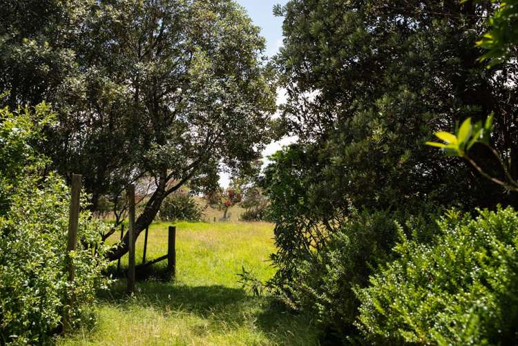 44 J Irwin Road Waiuku_9