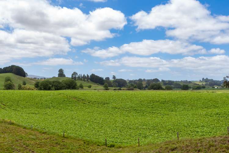 395 State Highway 5 Tapapa_10