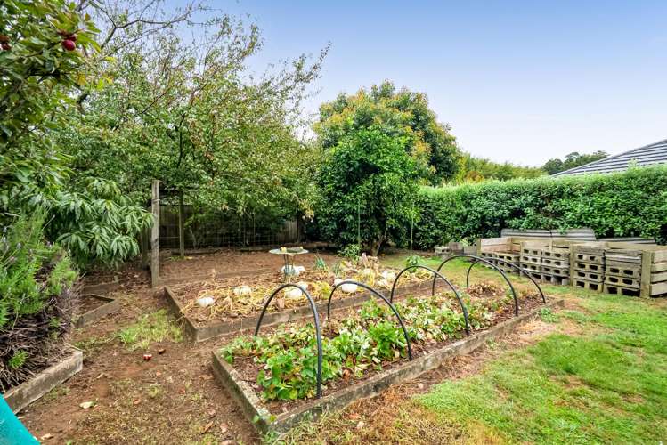 9 Adam Lile Drive Highlands Park_29