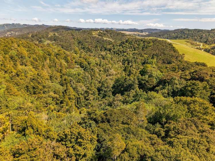 173 Paranui-Toatoa Road Taipa_10