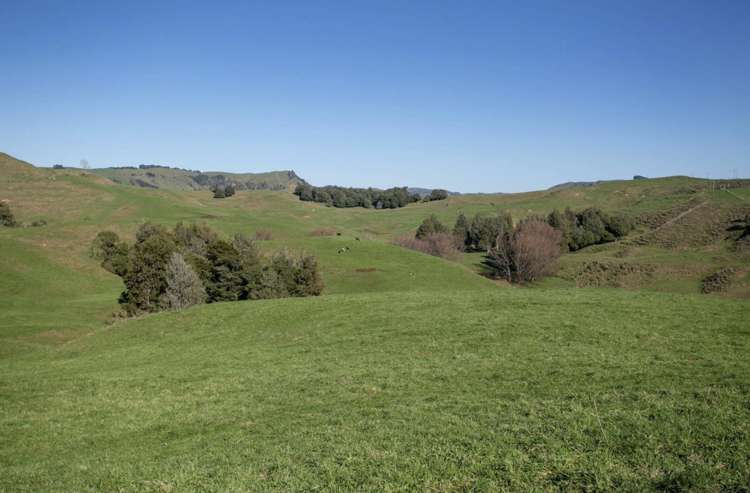 154 State Highway 3 Te Kuiti_15