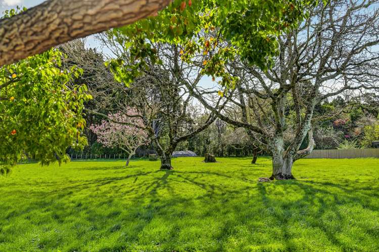Lots 4-10/58 West Street Greytown_8