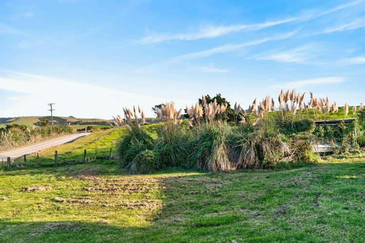 343 Neems Road Tinopai_21