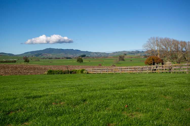 3090a Cambridge Road Rotoorangi_13